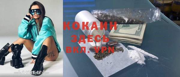 твердый Няндома