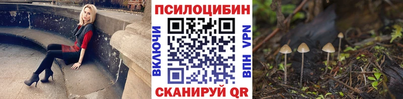 Галлюциногенные грибы мухоморы  Дудинка 