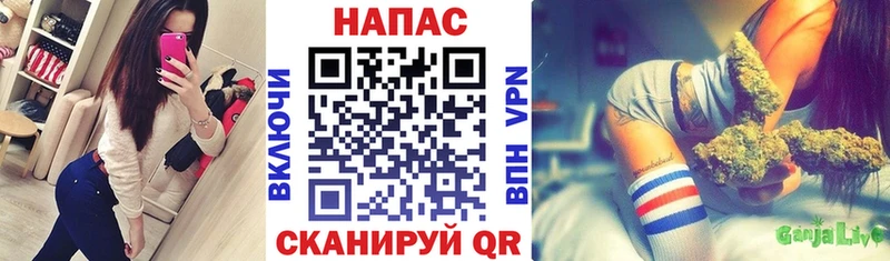 Бошки марихуана Bruce Banner  Дудинка 
